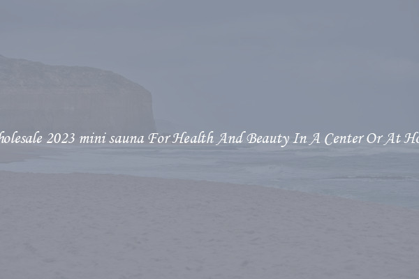 Wholesale 2023 mini sauna For Health And Beauty In A Center Or At Home