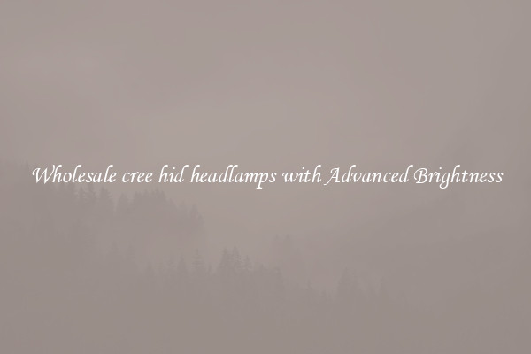 Wholesale cree hid headlamps with Advanced Brightness