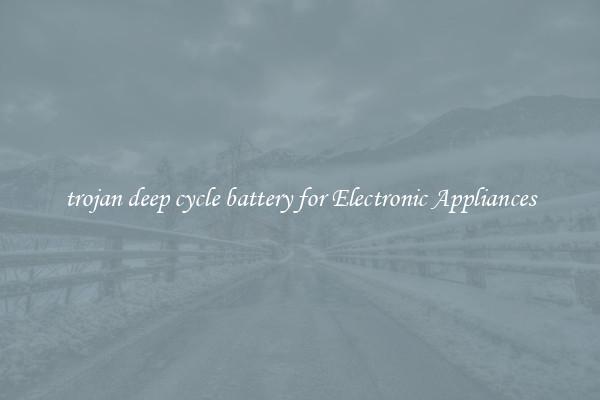 trojan deep cycle battery for Electronic Appliances