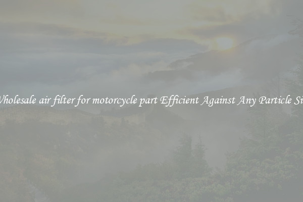 Wholesale air filter for motorcycle part Efficient Against Any Particle Size