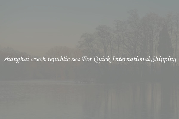shanghai czech republic sea For Quick International Shipping