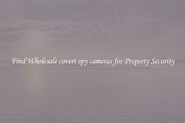 Find Wholesale covert spy cameras for Property Security