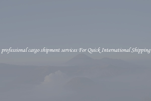 professional cargo shipment services For Quick International Shipping