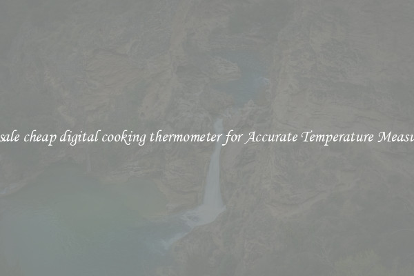 Wholesale cheap digital cooking thermometer for Accurate Temperature Measurement