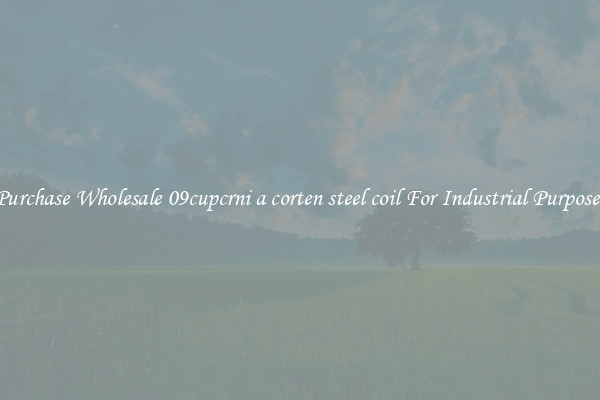Purchase Wholesale 09cupcrni a corten steel coil For Industrial Purposes