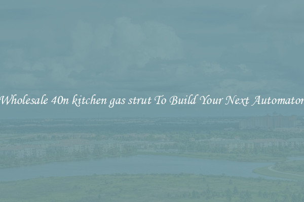 Wholesale 40n kitchen gas strut To Build Your Next Automaton