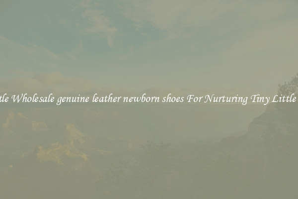 Gentle Wholesale genuine leather newborn shoes For Nurturing Tiny Little Feet