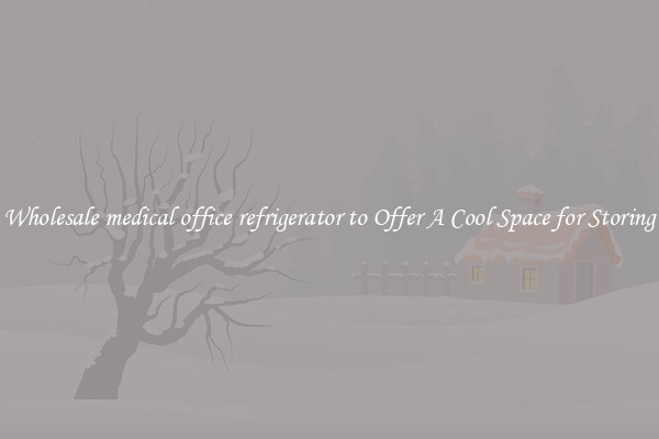Wholesale medical office refrigerator to Offer A Cool Space for Storing
