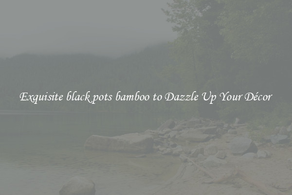 Exquisite black pots bamboo to Dazzle Up Your Décor 