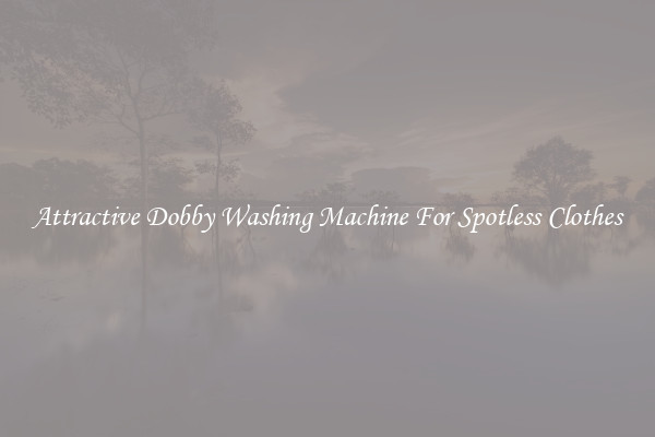 Attractive Dobby Washing Machine For Spotless Clothes