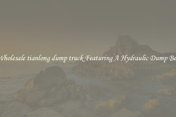 Wholesale tianlong dump truck Featuring A Hydraulic Dump Bed