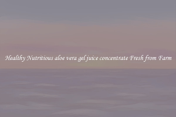 Healthy Nutritious aloe vera gel juice concentrate Fresh from Farm