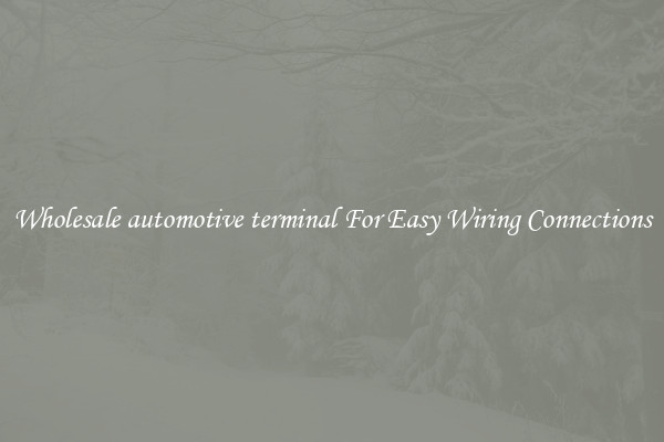 Wholesale automotive terminal For Easy Wiring Connections