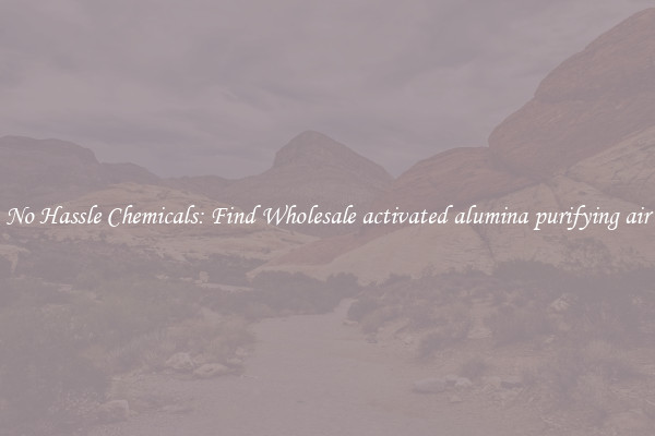 No Hassle Chemicals: Find Wholesale activated alumina purifying air
