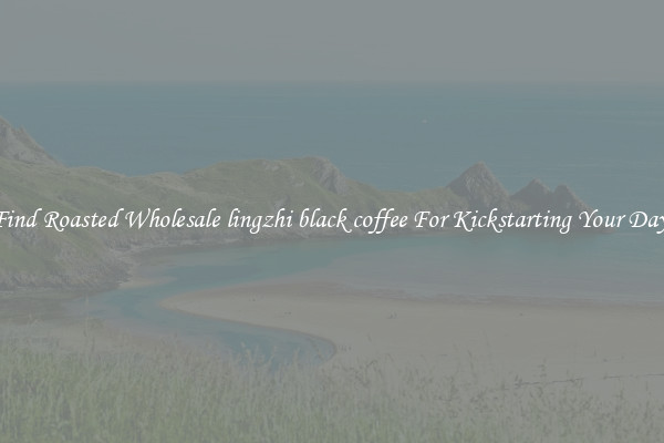 Find Roasted Wholesale lingzhi black coffee For Kickstarting Your Day 