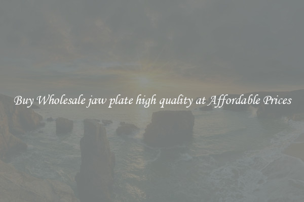 Buy Wholesale jaw plate high quality at Affordable Prices
